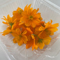 Fresh Edible Flowers