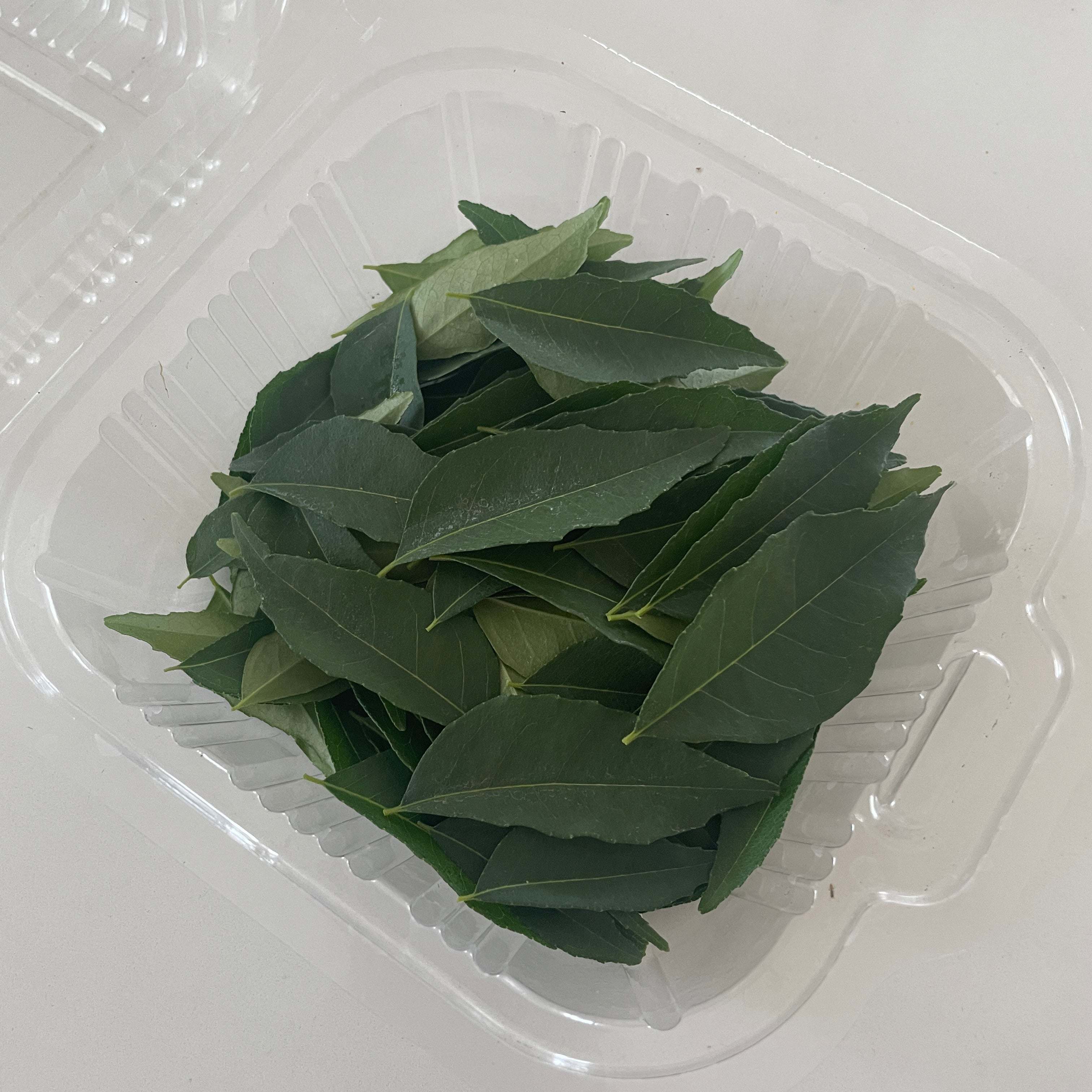 Fresh Curry Leaves