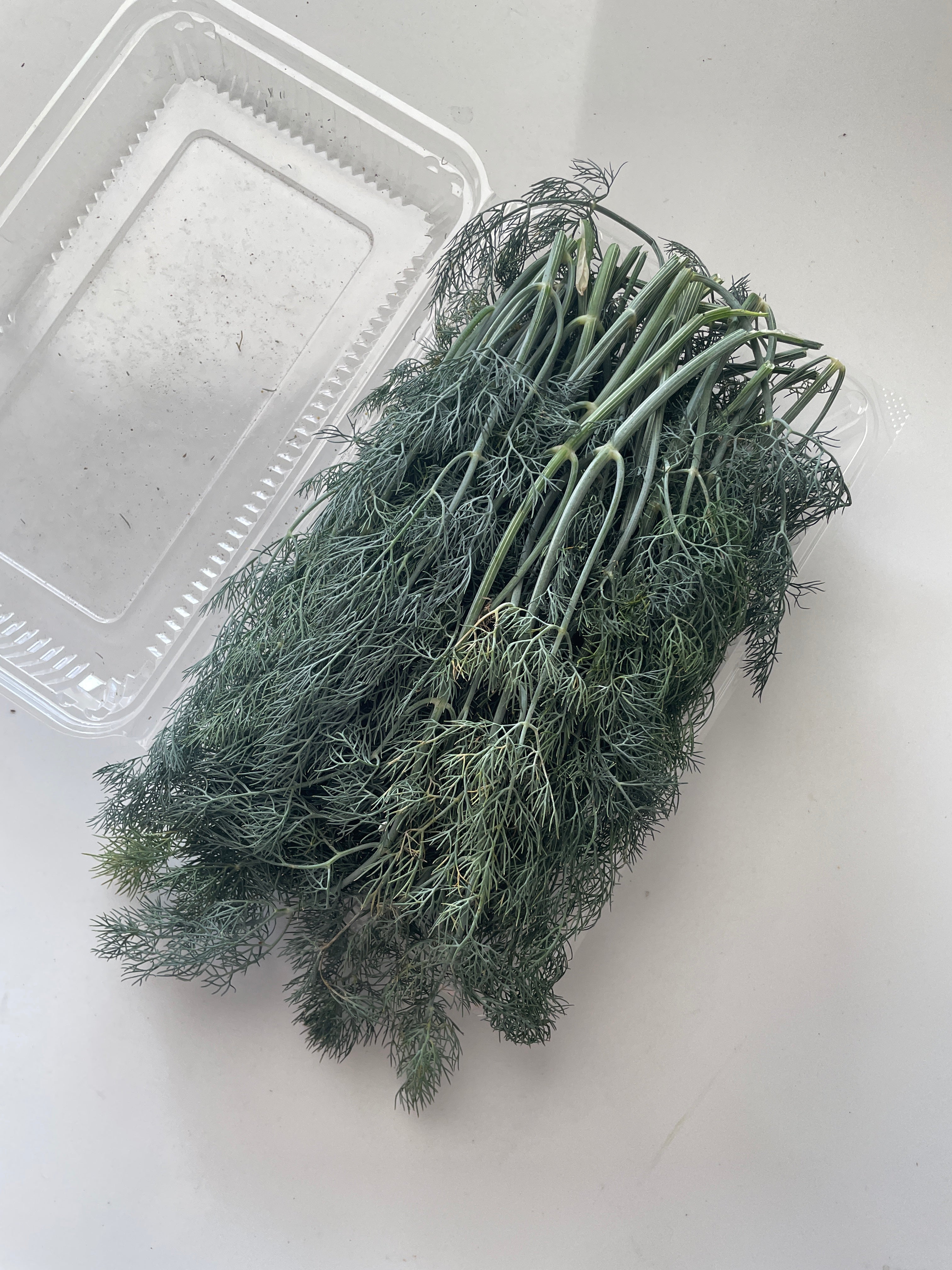 Fresh Dill Leaves