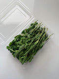 Fresh Holy Basil Leaves