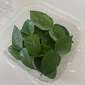 Fresh Kaffir Lime Leaves