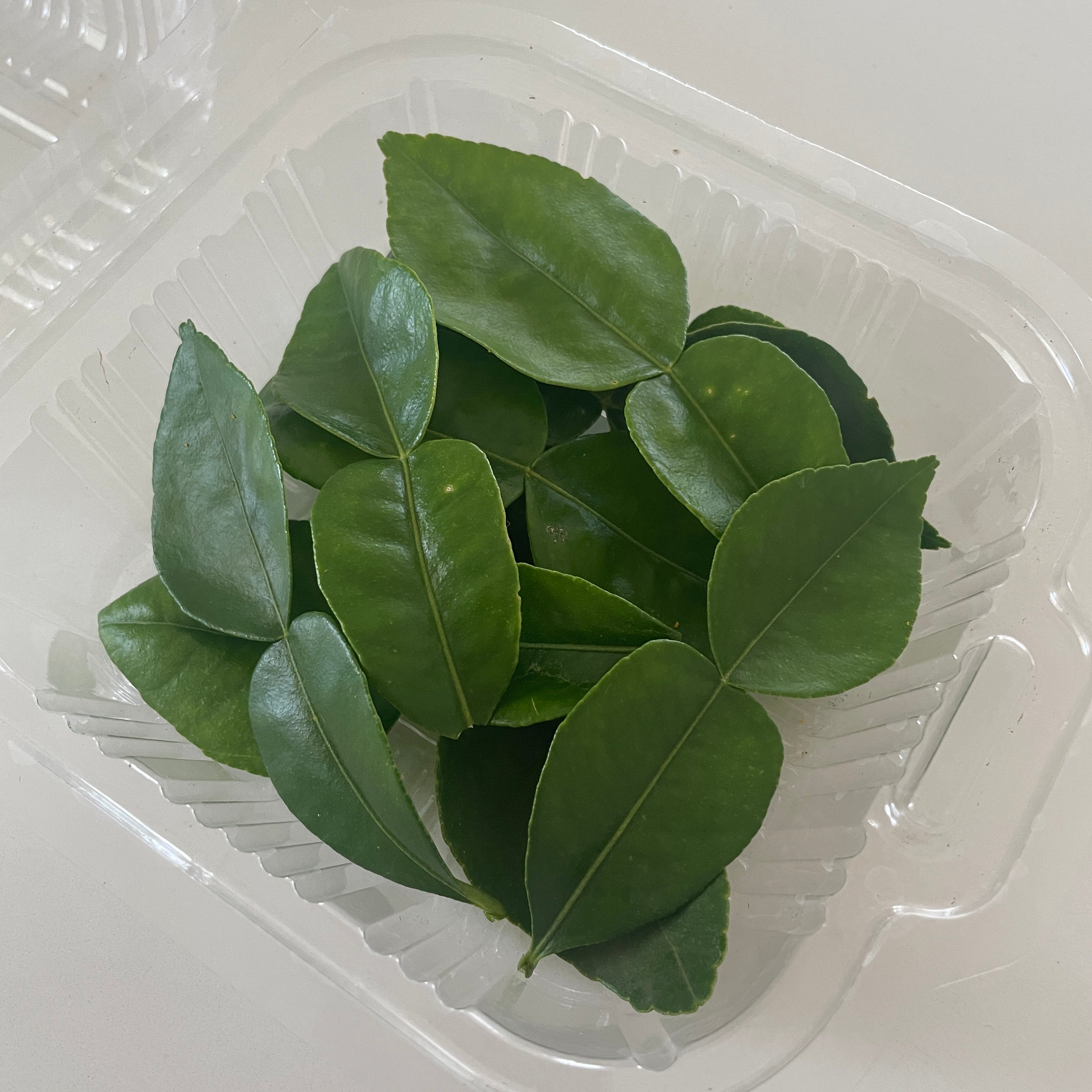 Fresh Kaffir Lime Leaves