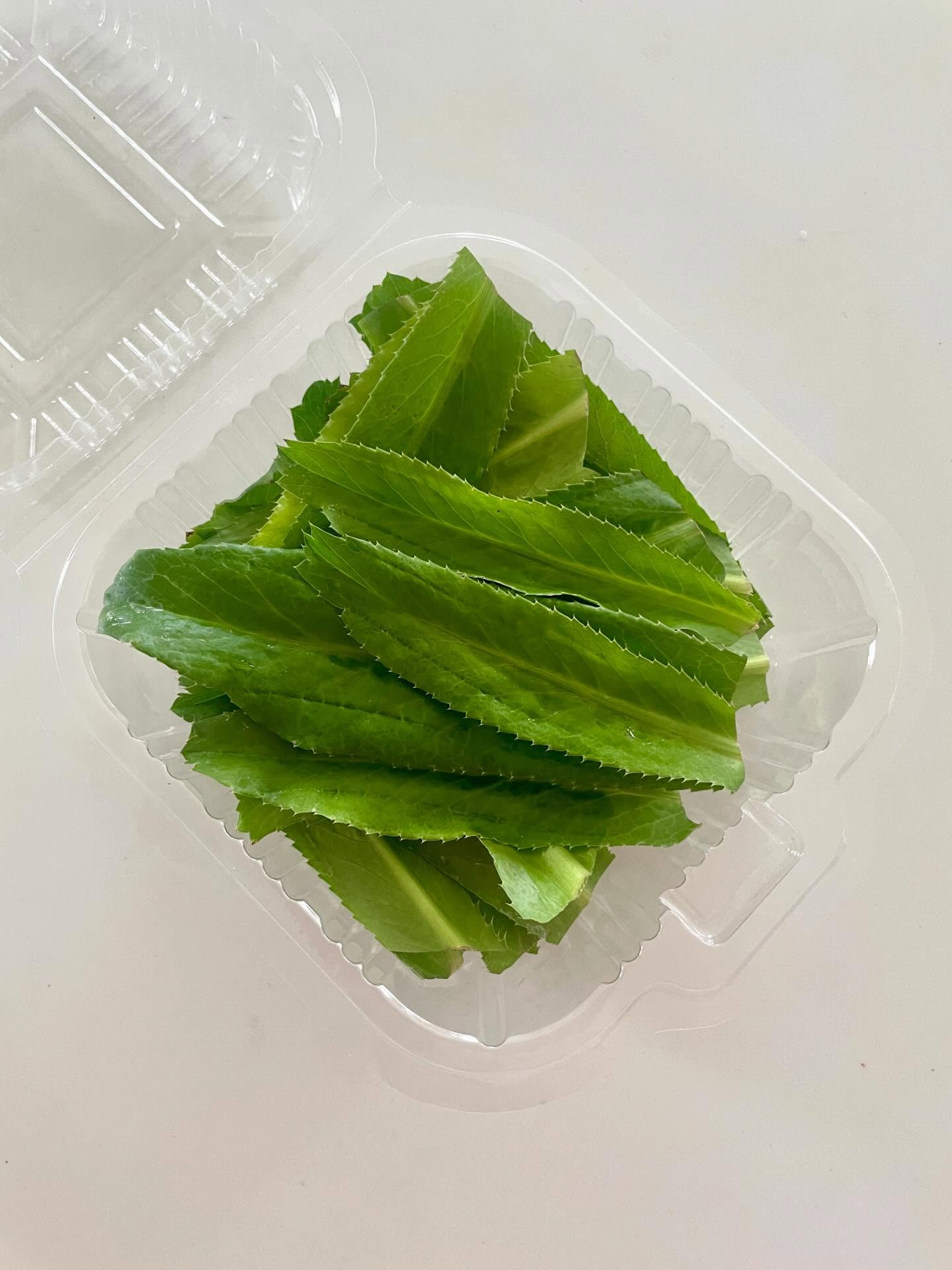 Fresh Culantro / Sawtooth Coriander Leaves