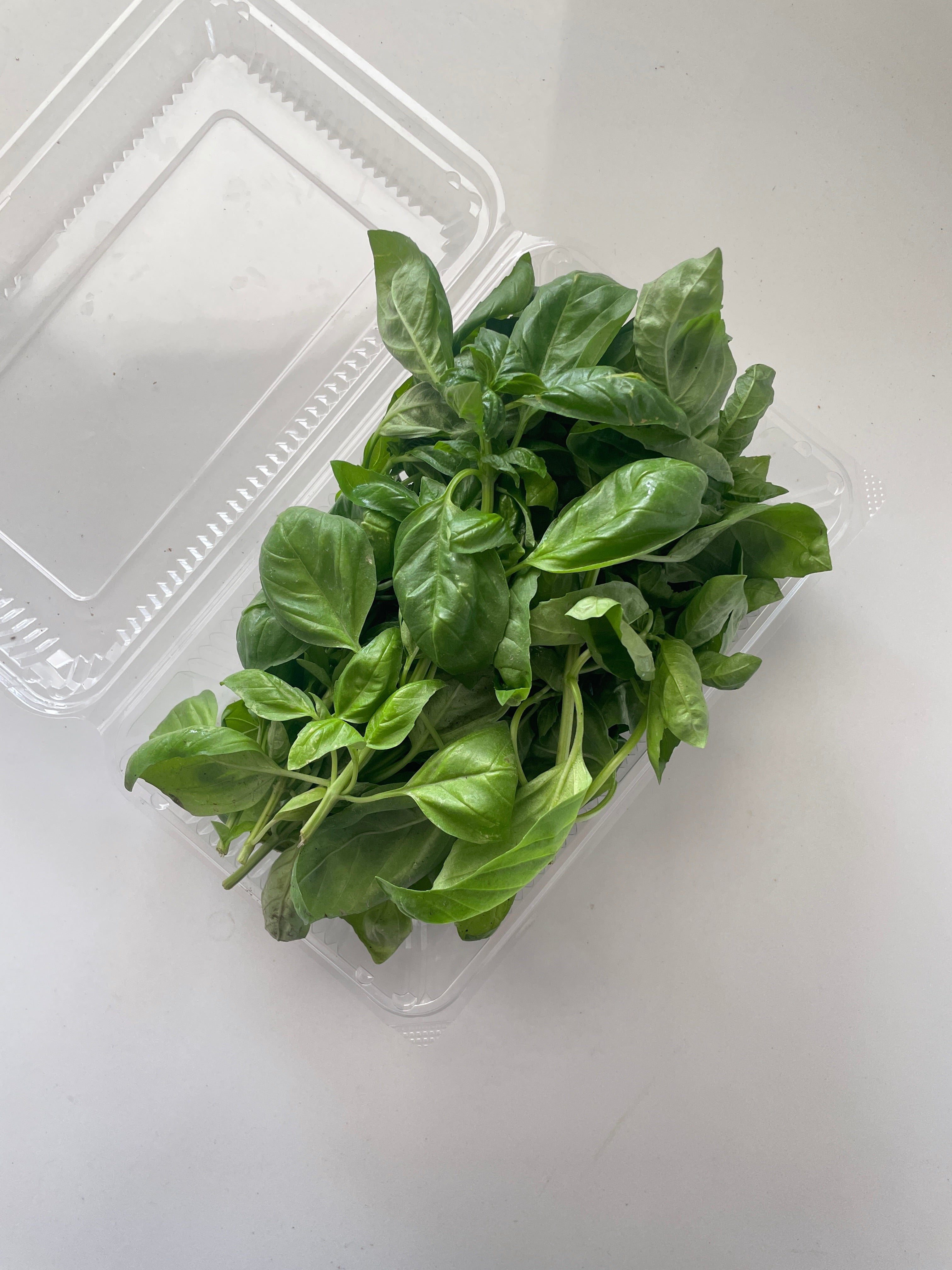 Fresh Sweet Basil