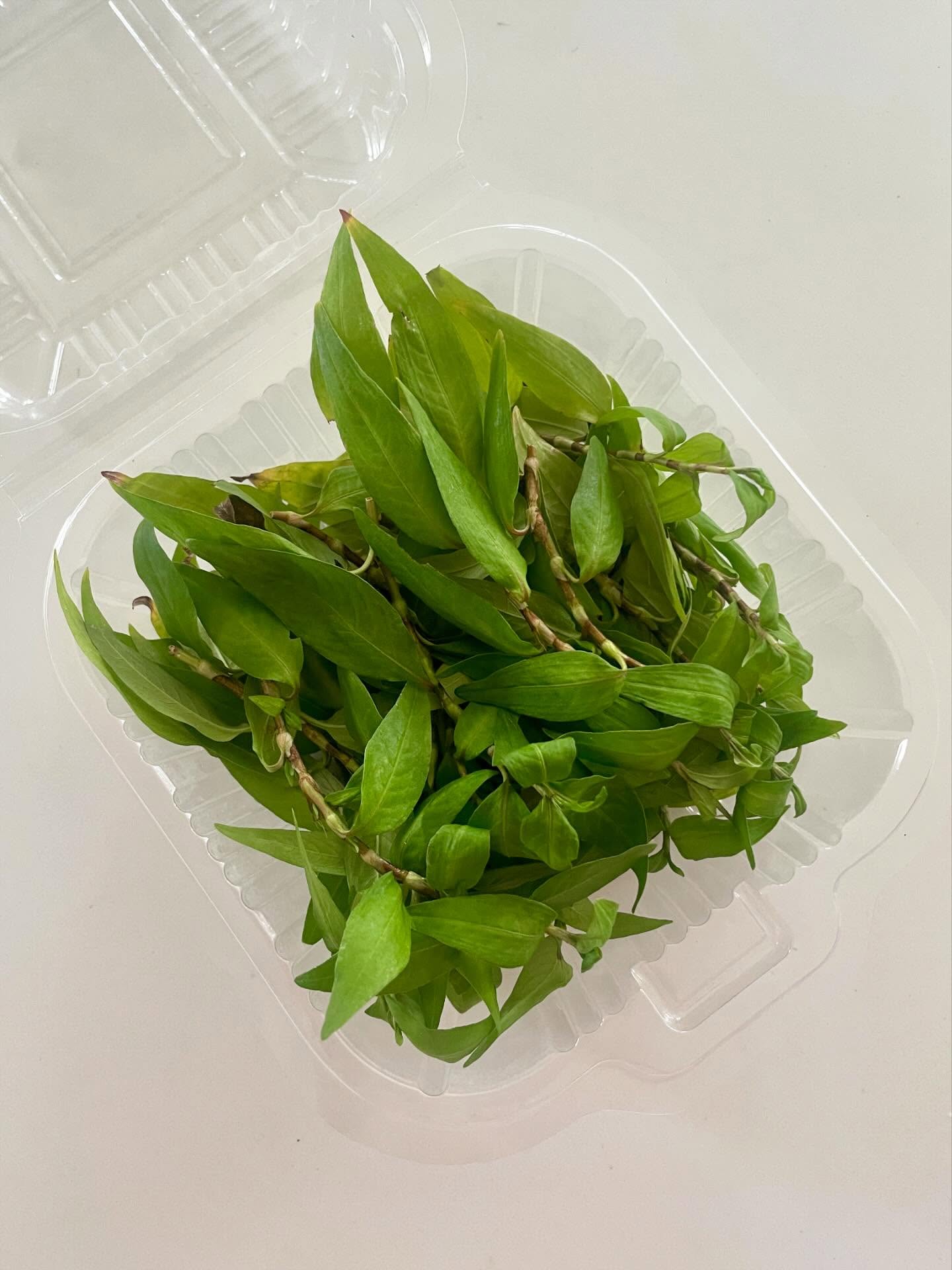 Fresh Vietnamese Coriander Leaves